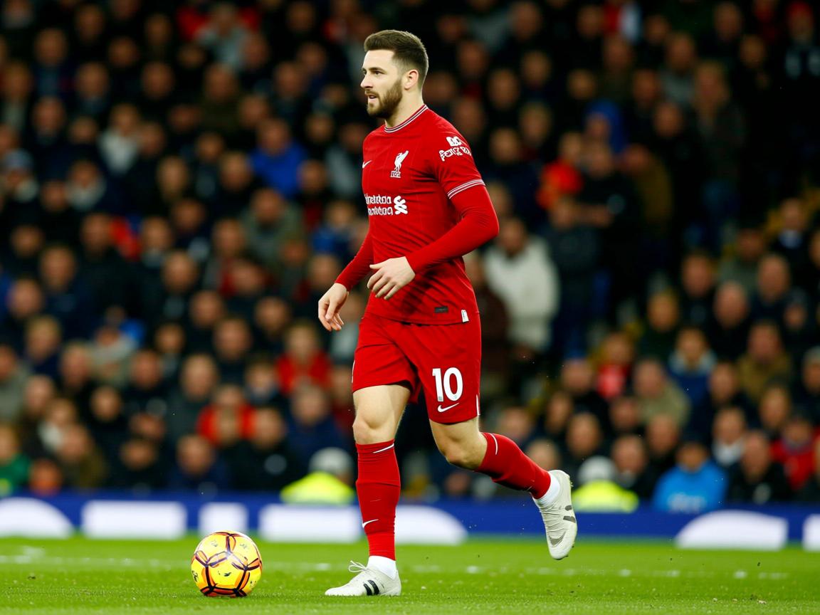 开云在线登入-北马其顿跃然纸上,欧预赛令人惊艳 第2张